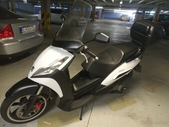 Peugeot Geo RS 250 - 2