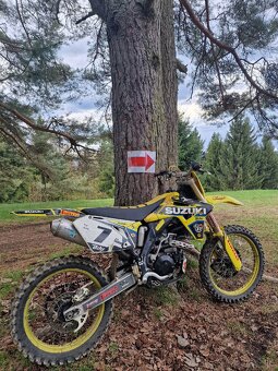 Suzuki rmz 450 - 2