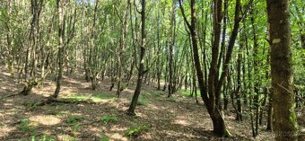 Na predaj rozsiahly pozemok 10 420 m² – Komárov - 2