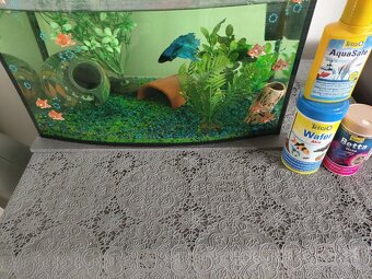 Akvárium s rybkou - 2