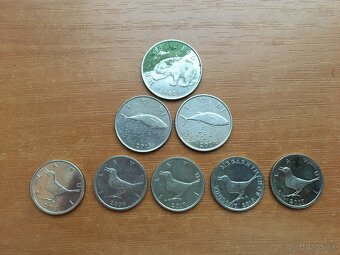 Mince - Kuny - 2
