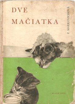 Dve mačiatka - 2