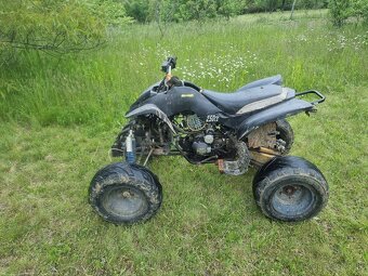 Predam Bashan 250cc - 2