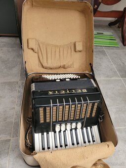 Akordeón Delicia - 2