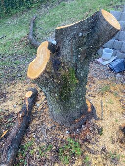 Čerešňove drevo - 2