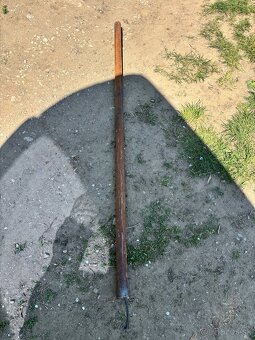 Sustruznicka gulatina - 2