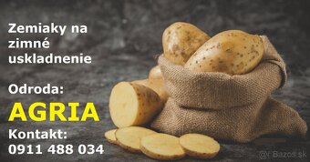 Cesnak, jačmeň, pšenica, cibuľa, zemiaky AGRIA - 2