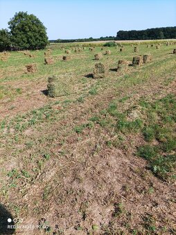 Datelina ( Lucerka) - 2