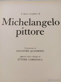 Michelangelo - 2