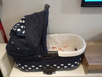 DARUJEM STARSI KOCIK - 2