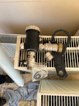 BAXI Luna Platinum+ 24 - 2