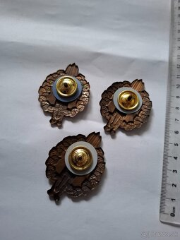 Slovenské vojenské odznaky - 2