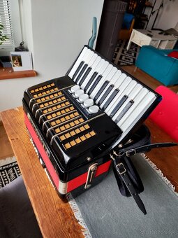 Predam Akordeon Delicia JUNIOR 72b XIV - 2