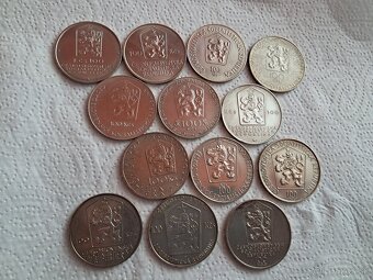 mince 100kcs - 2