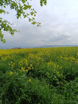NA PREDAJ slnečný pozemok na výstavbu RD  Beluša,1935m2 - 2