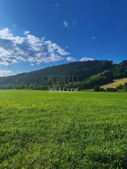 Rovinatý pozemok v Dolnom Lieskove - 2