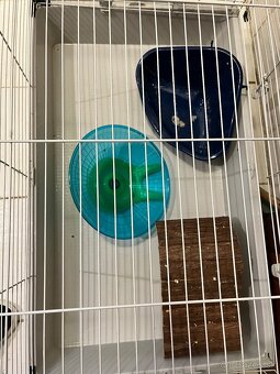 Klietka - ježko, zajacik - 2