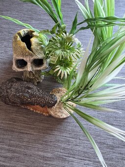 Nove Dekoracie do akvaria 18€ - 2