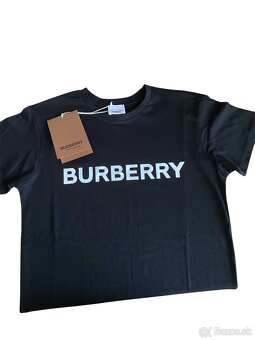 burberry - 2