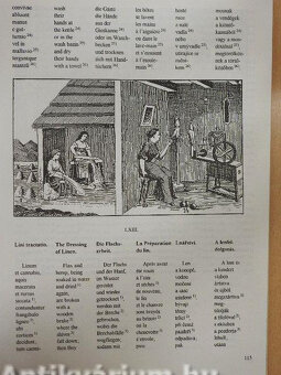 ORBIS PICTUS 1896 Reprint vydanie - 2