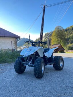 Access Moto DRR 100 - 2