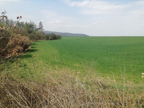 Pozemok - predaj - 2