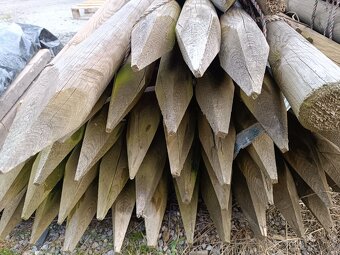 Talianske drevene koly z borovice impregnovane - 2