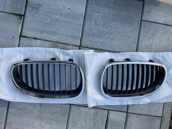 Grill/Mriezky BMW e60 - 2