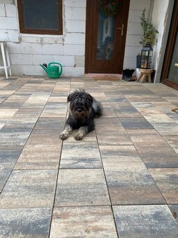 Stredný Bradáč - 2