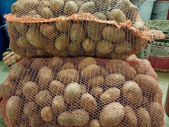 Zemiaky Queen anna - 2