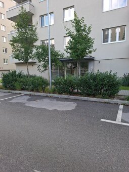 Parkovacie miesto Zelené Vlčince - 2