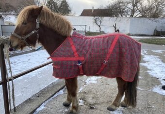 Pony veci - 2