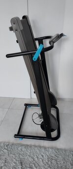 Chodiaci pas - 2
