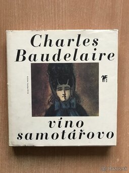 Baudelaire, Apollinaire,Hesse, Poe, Kerouac - 2