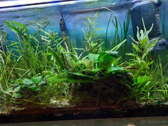 Akvarium so skrinkou - 2