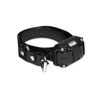 Elektrický výcvikový obojok pre 3 psov Patpet 776 Nový model - 2