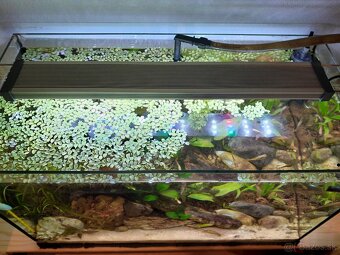 Darujem akvárium - 2