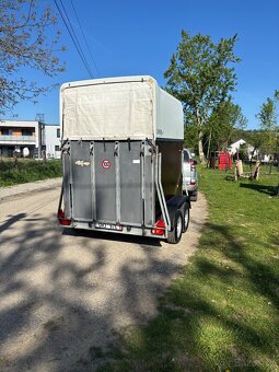 Bockmann Duo Espirit - 2