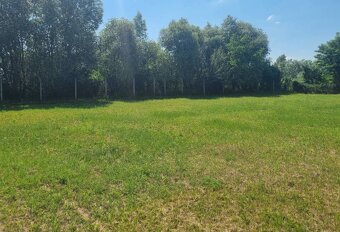 Dvorany nad Nitrou - veľký pozemok pri vodnej zátoke NR-TO - 2