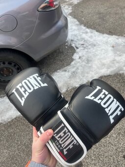 Boxerske rukavice - 2