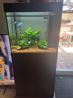 Akvárium juvel 125 - 2