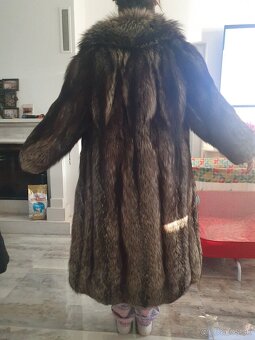 Strieborná liska - 2