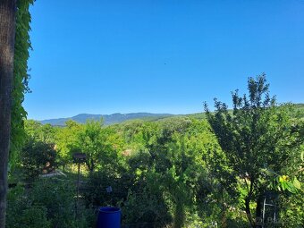 Záhrada s podpivničenou chatkou - 2