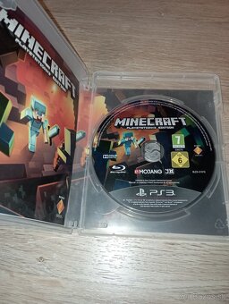 Minecraft PS3 - 2