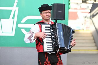 Harmonikár, akordeonista, živá hudba - 2