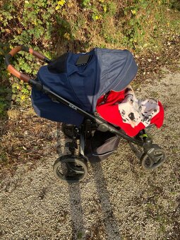 Kocik Luca trojkombinacia - 2