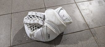 Lapacka junior bauer - 2