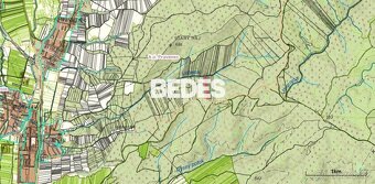 BEDES | predaj lesného porastu, 6435 m2, k. ú. Pravenec - 2