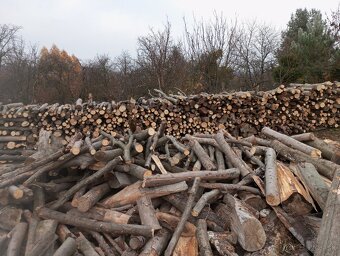 palivové drevo metrovicu buk hrab - 2