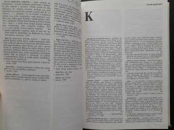 Meteorologický slovník výkladový & terminologický - 2